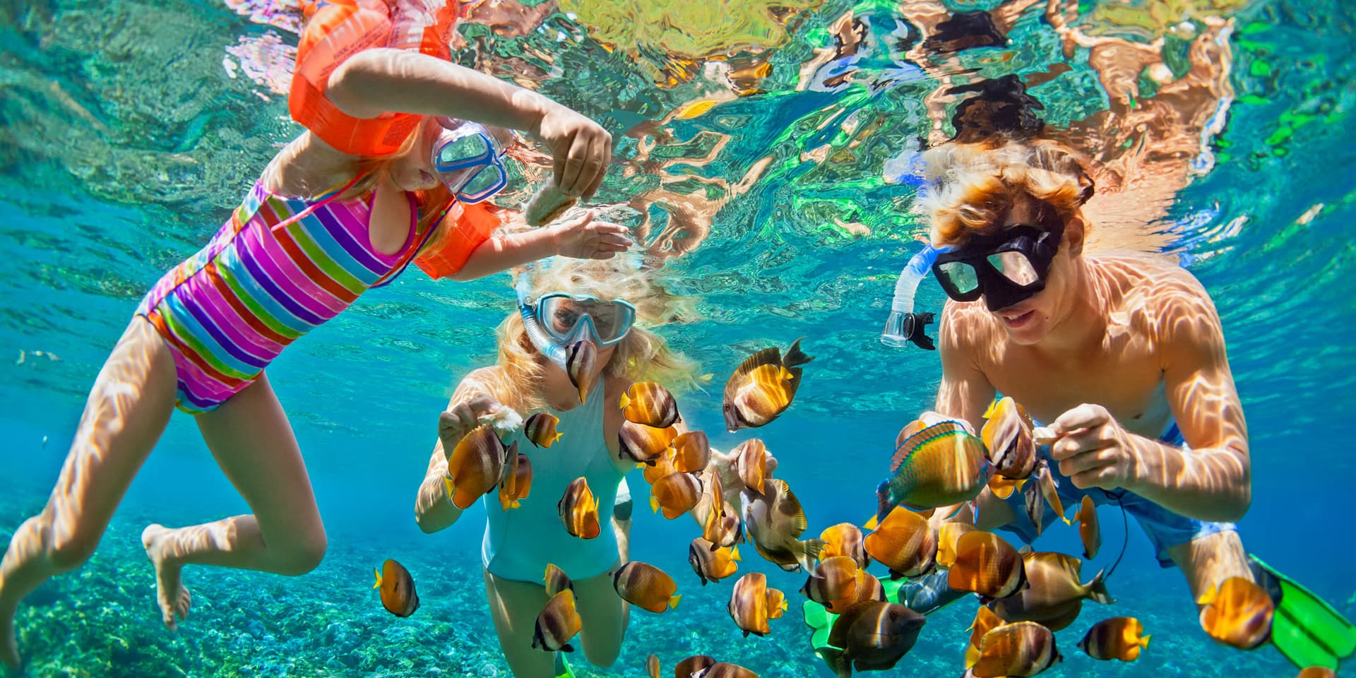 Snorkeling the Menjangan Island reef, North Bali