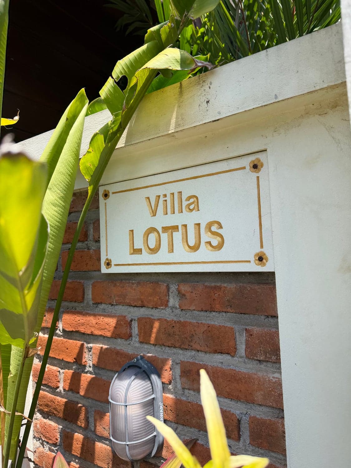 Villa Lotus — photo 16 of 16