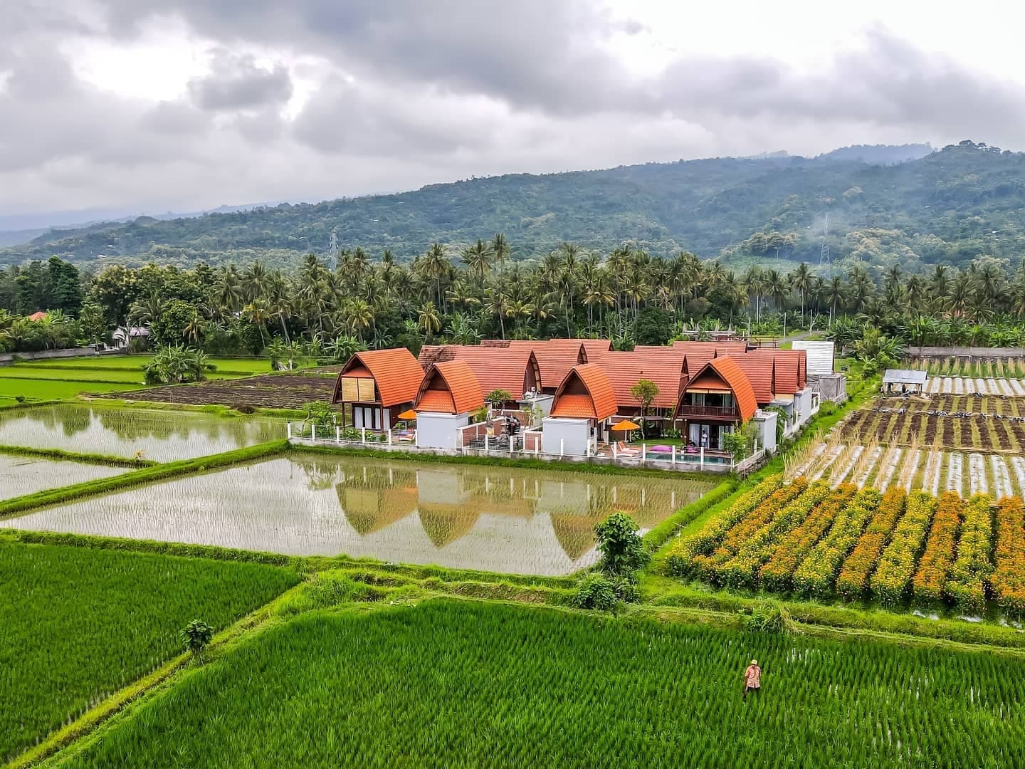 Bhumi Lovina estate overview — eight private pool villas set within emerald rice fields, North Bali